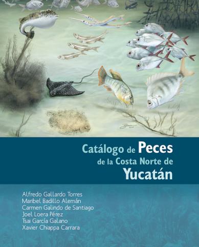 catalogo (dragged)
